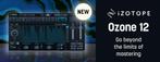 iZotope Ozone 12 Advanced Music (Mac & Win ), Ophalen, Windows