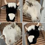 Bibib dierenkoppen voor aan de muur, Ophalen of Verzenden, Gebruikt, Wanddecoratie