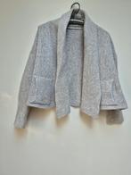 Annette Görtz Vest Maat S grijs, Verzenden, Annette Görtz, Zo goed als nieuw, Maat 36 (S)