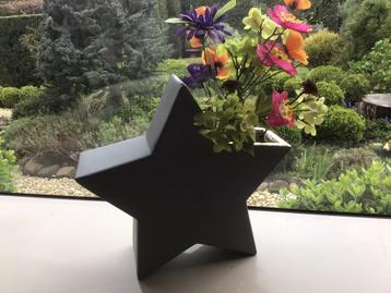 Is dat niet BIJZONDER een STER als VAAS ??? beschikbaar voor biedingen