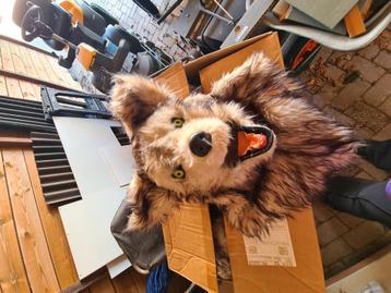 Masker wolf beschikbaar voor biedingen