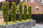 Stapelblok Blockstone black 15x15x60 cm getrommeld linia lin, Blok, Nieuw, Ophalen of Verzenden, Minder dan 25 cm
