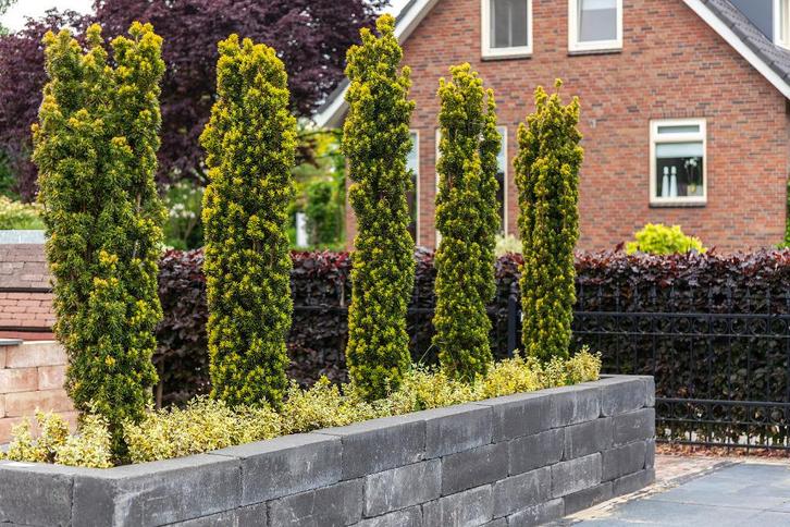 Stapelblok Blockstone black 15x15x60 cm getrommeld linia lin, Tuin en Terras, Bielzen en Borders, Nieuw, Blok, Beton, Minder dan 25 cm