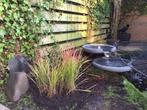 Waterschalen voor vijver, Tuin en Terras, Vijvers, Ophalen, Gebruikt