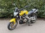 Shiver 750 2011 15.000 km !!!!, Motoren, Motoren | Aprilia, 750 cc, 2 cilinders, Handvatverwarming, Particulier