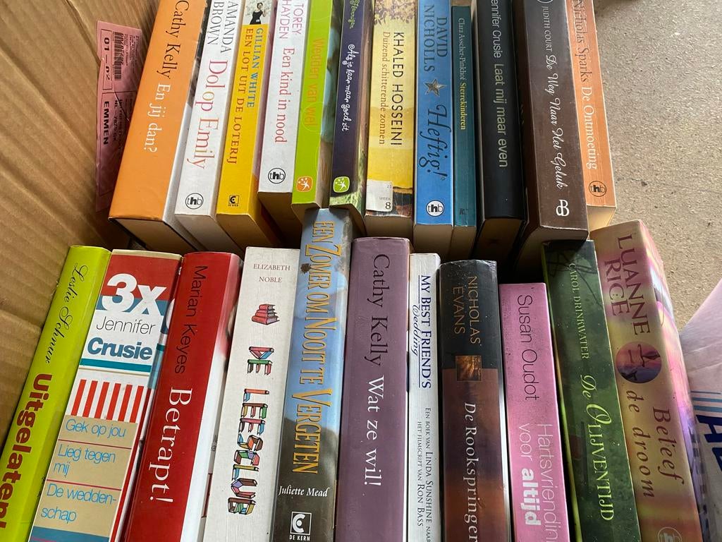 Diverse leesboeken en romans - Grote collectie, Boeken, Ophalen of Verzenden, Gelezen, Nederland