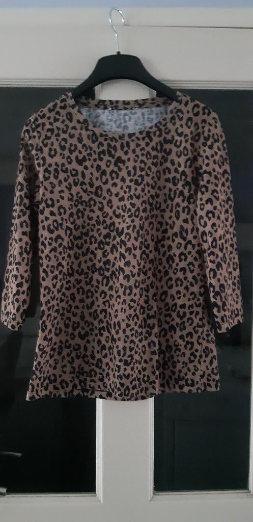 mooi Costes truitje top 36/38, Kleding | Dames, Tops, Ophalen, Bruin, Zo goed als nieuw, Korte mouw