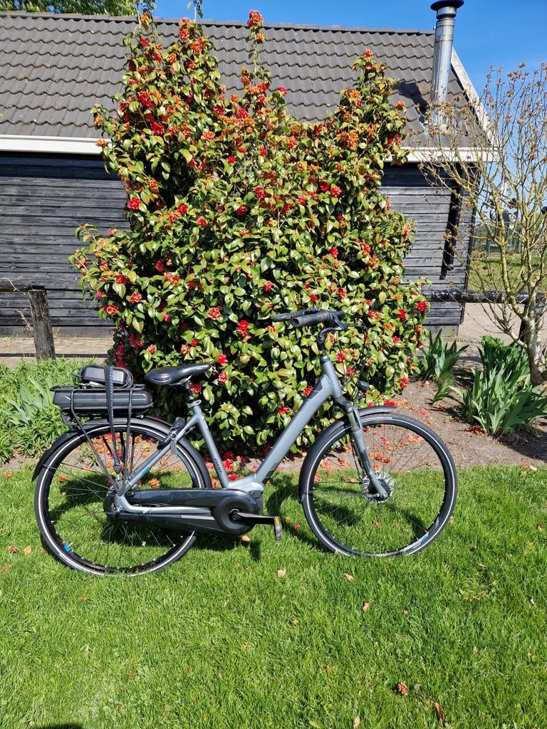 Elektrische damesfiets Giant entour Middenmotor, Versnellingen, Zo goed als nieuw, 0 zitjes, 50 tot 53 cm