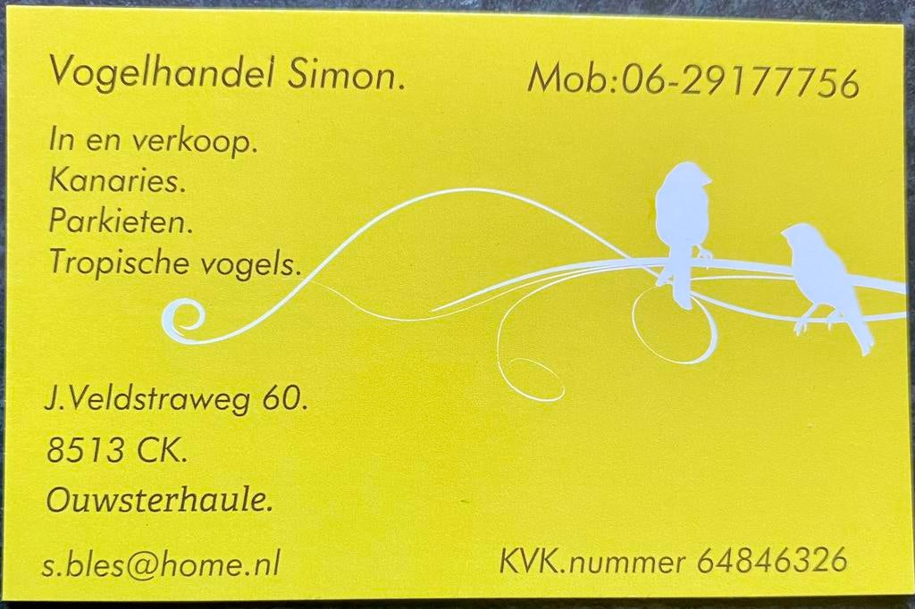 Gezocht roodvleugel man, Dieren en Toebehoren, Vogels | Parkieten en Papegaaien, Mannelijk, Parkiet, Geringd