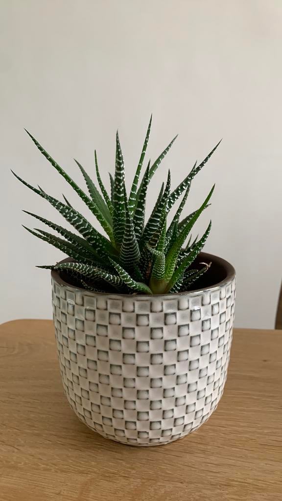 2 Mica bloempotjes, Ophalen, Rond, Binnen, Zo goed als nieuw