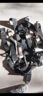 R.J.C. Racing Equipment Race Gordels, Ophalen of Verzenden