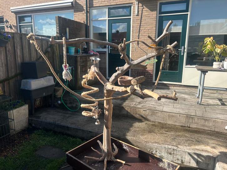 Java boom papegaai, Dieren en Toebehoren, Vogels | Hokken en Kooien, Volière, Metaal, Ophalen