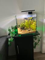 SuperFish Qubiq 60l Pro, Ophalen of Verzenden, Zo goed als nieuw, Leeg aquarium