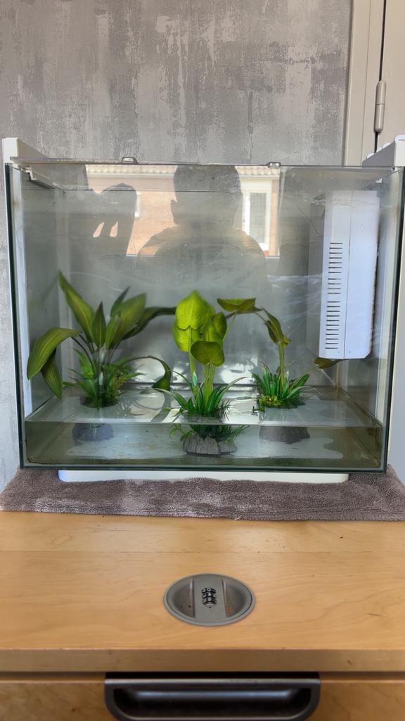 Aquarium met kast, Dieren en Toebehoren, Vissen | Aquariumvissen, Overige typen