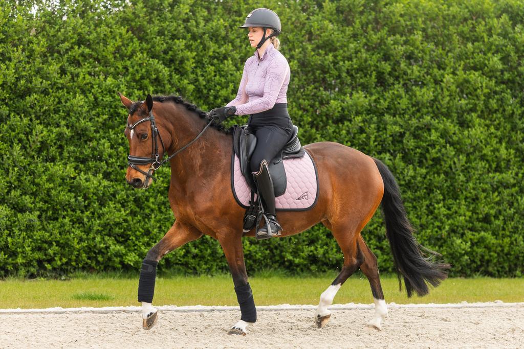 Knappe talentvolle sportpony allround, Dieren en Toebehoren, Pony's, Merrie, Met stamboom, Dressuurpony, 3 tot 6 jaar