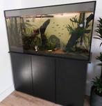 Groot aquarium, Ophalen