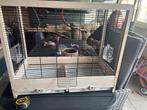 Nieuwe vogel kooi, Dieren en Toebehoren, Vogels | Hokken en Kooien, Ophalen of Verzenden, Nieuw, Metaal, Vogelkooi