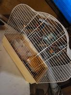 Vogelkooi, Dieren en Toebehoren, Vogels | Hokken en Kooien, Ophalen, Gebruikt, Metaal, Vogelkooi
