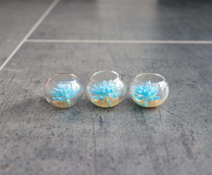 Plant in glazen kom plantje miniatuur nieuw 1:12 Blauw, Verzamelen, Poppenhuizen en Toebehoren, Nieuw, Decoratie, Ophalen of Verzenden