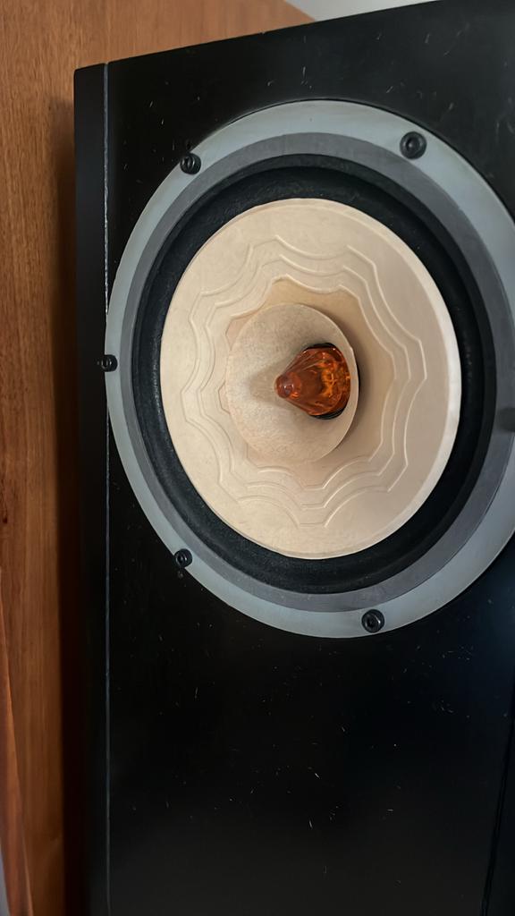 Back loaded hoorn speaker met Lii Silver S6 driver, Gebruikt, Minder dan 60 watt, Front, Rear of Stereo speakers, Ophalen