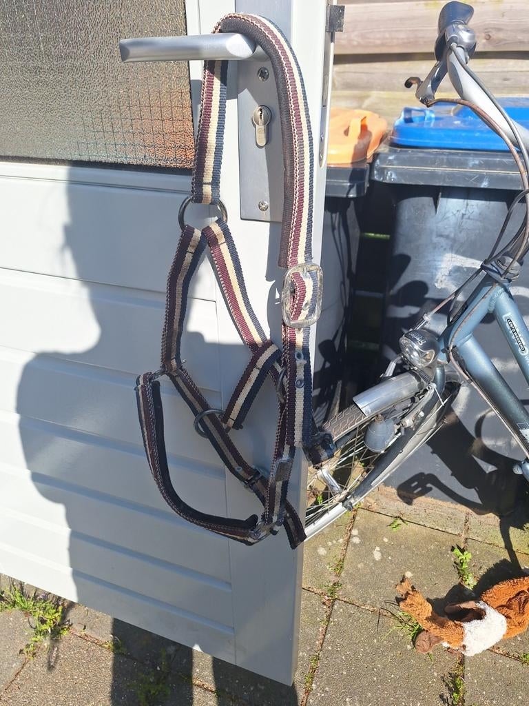 Eskadron halster, Ophalen of Verzenden, Gebruikt, Overige soorten