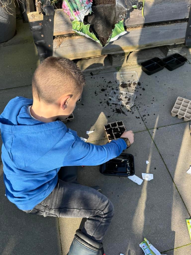 Komkommer en paprika plantjes, Ophalen, Eenjarig, Groenteplanten, Volle zon