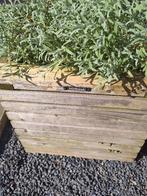 Twee Houten bloembakken met beplanting, Ophalen, Gebruikt, Minder dan 60 cm, Balkon