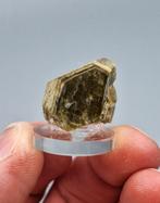 Sideriet - Panasqueira Mines, Portugal, Ophalen of Verzenden, Mineraal