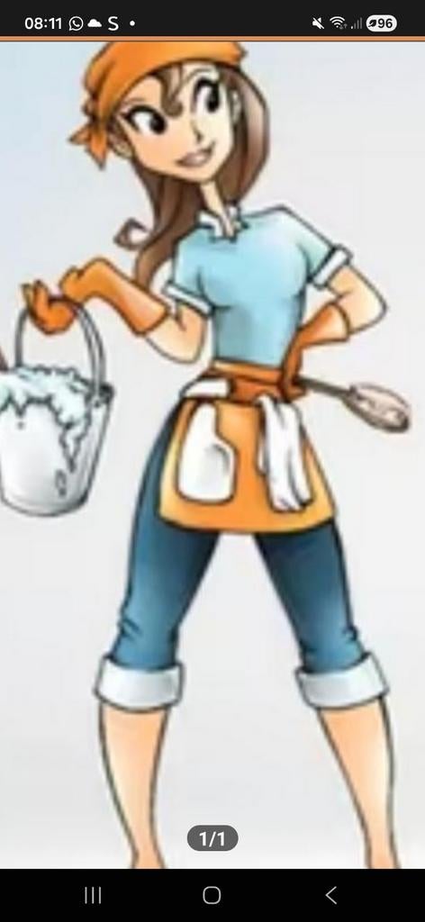 Hulp in de huishouding