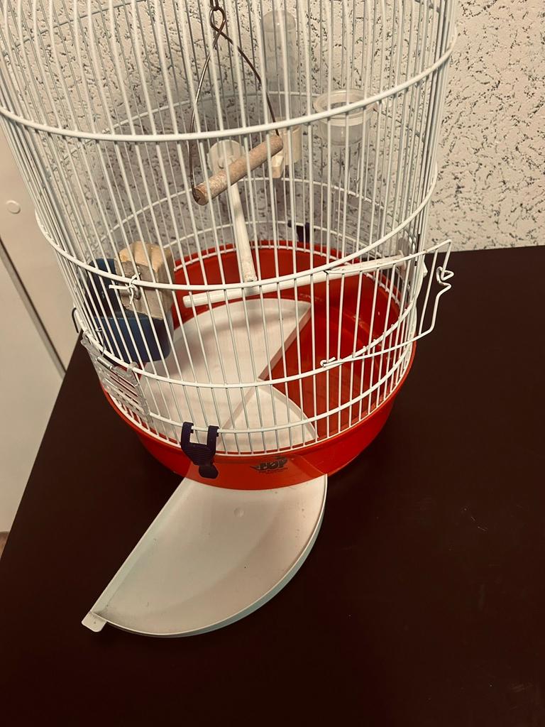 Mooi vogelkooi zo goed als nieuw, Dieren en Toebehoren, Vogels | Hokken en Kooien, Ophalen, Zo goed als nieuw, Metaal, Vogelkooi