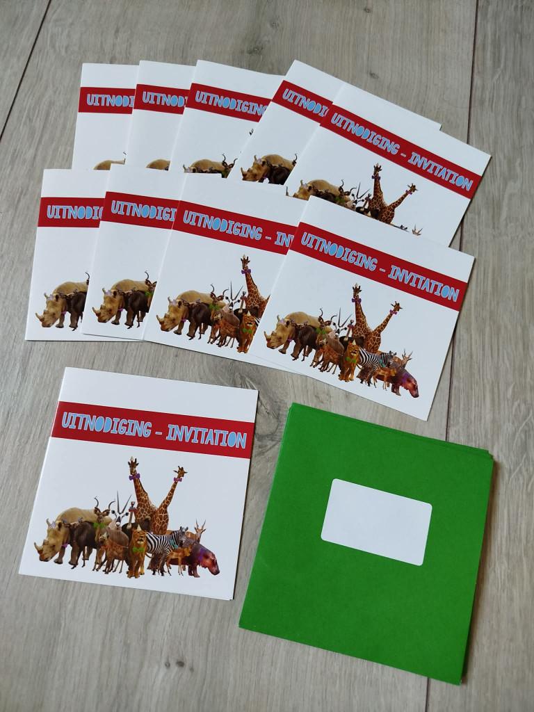 Set van 10 uitnodigingen voor een feestje/party, Ophalen of Verzenden, Nieuw