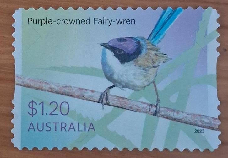 AUSTRALIE 2023 : FAIRY-WRENS S/A, Postzegels en Munten, Postzegels | Oceanië, Ophalen of Verzenden