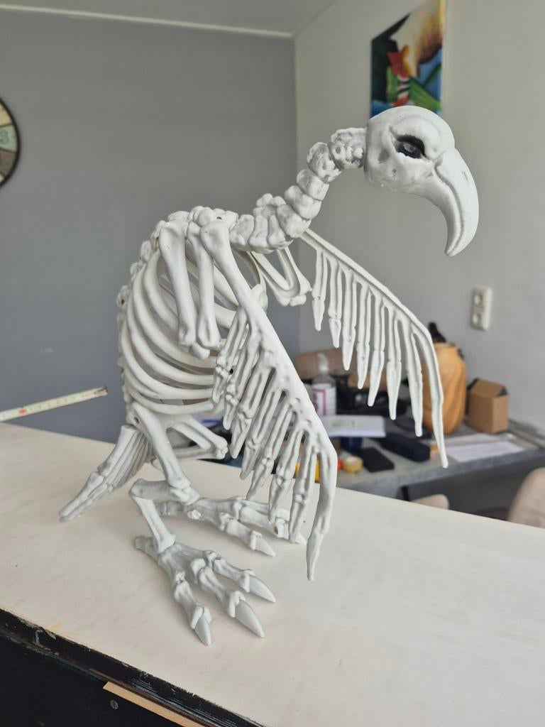 Uniek vogel Skelet Decoratie - Halloween/Educatief, Ophalen of Verzenden, Gebruikt