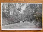 Rhenen, Grebbeweg, 1943, Verzamelen, Ansichtkaarten | Nederland, Ophalen of Verzenden, 1940 tot 1960, Utrecht
