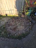 Groot gat. Mag gratis gevuld worden met uw zand., Ophalen of Verzenden, Nieuw, Overige typen