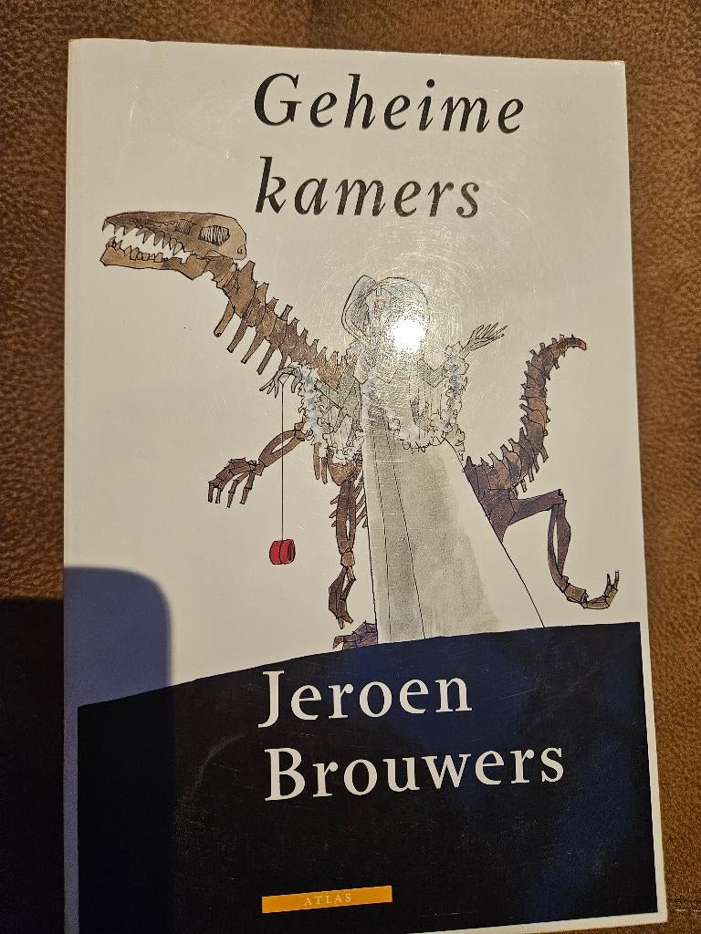 Romans Jeroen Brouwers, Boeken, Ophalen of Verzenden, Gelezen