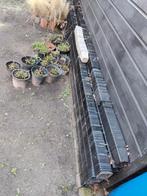 Stekpotjes P9 en diverse grotere potten, Ophalen of Verzenden