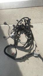 05E972610B kabelboom Volkswagen, Ophalen