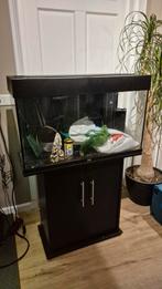 Juwel rio 125 aquarium met kast, Ophalen of Verzenden, Zo goed als nieuw, Leeg aquarium