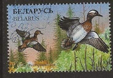 Witrusland 39, eenden voor vanderzon, Verzenden, Overige landen, Gestempeld