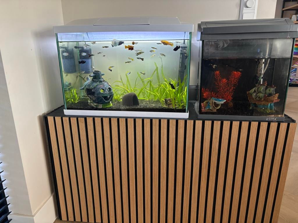Superfish aquarium wit 60 liter met inhoud., Ophalen, Overige typen