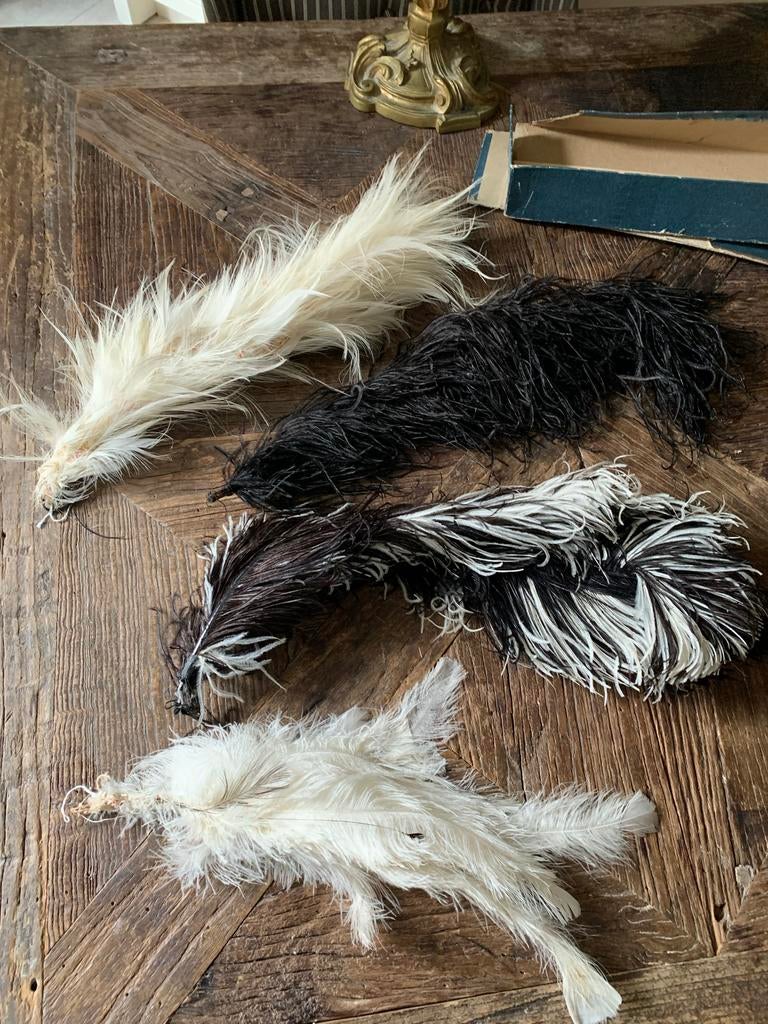 Antieke Victoriaanse Struisvogelveren - Zwart & Wit, Ophalen of Verzenden