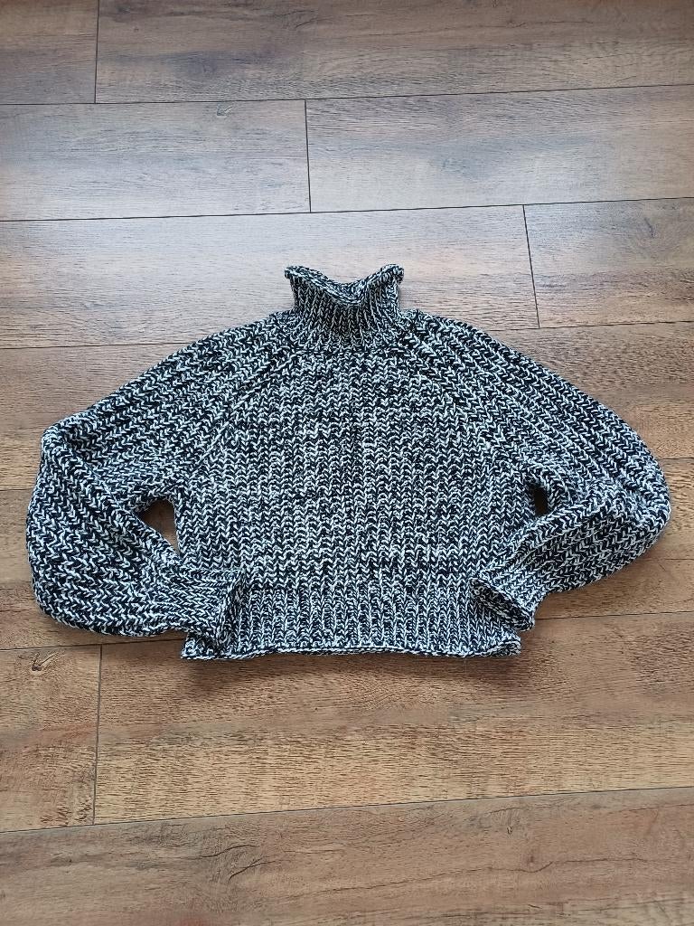 leuke H&M trui 36, Ophalen of Verzenden, Nieuw, Maat 36 (S)