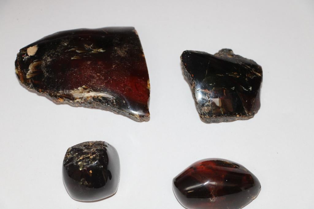 Amber(4pcs), Ophalen of Verzenden, Fossiel
