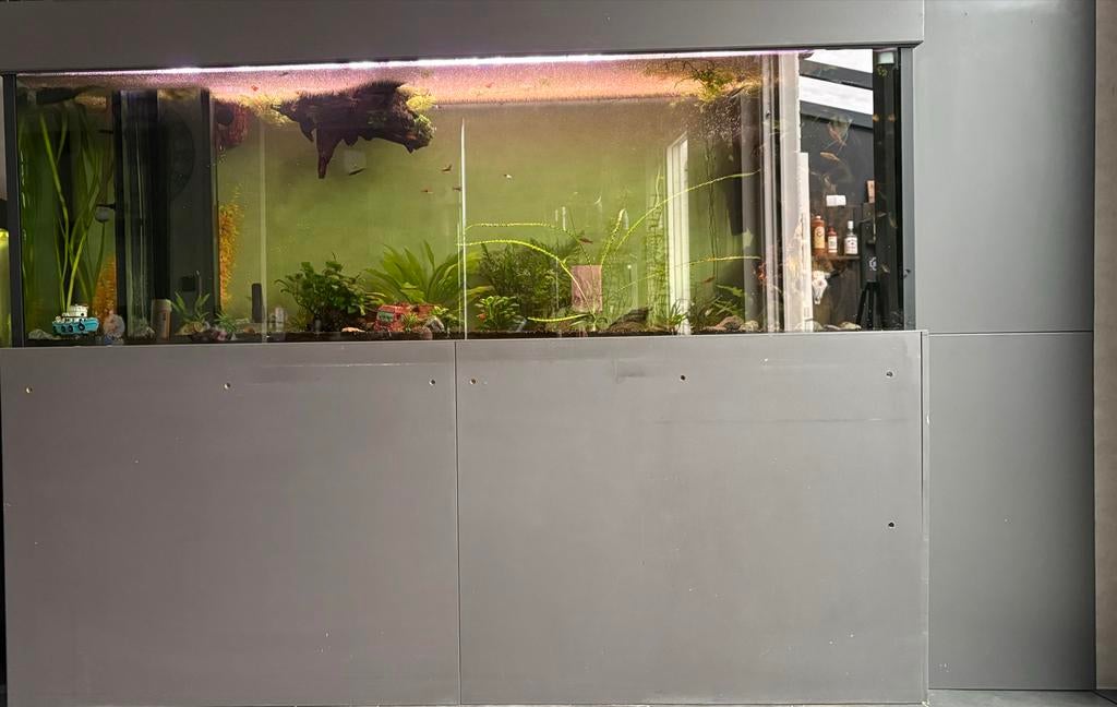 Grote complete aquarium tekoop +. 50vissen, Dieren en Toebehoren, Ophalen, Zo goed als nieuw, Gevuld zoetwateraquarium