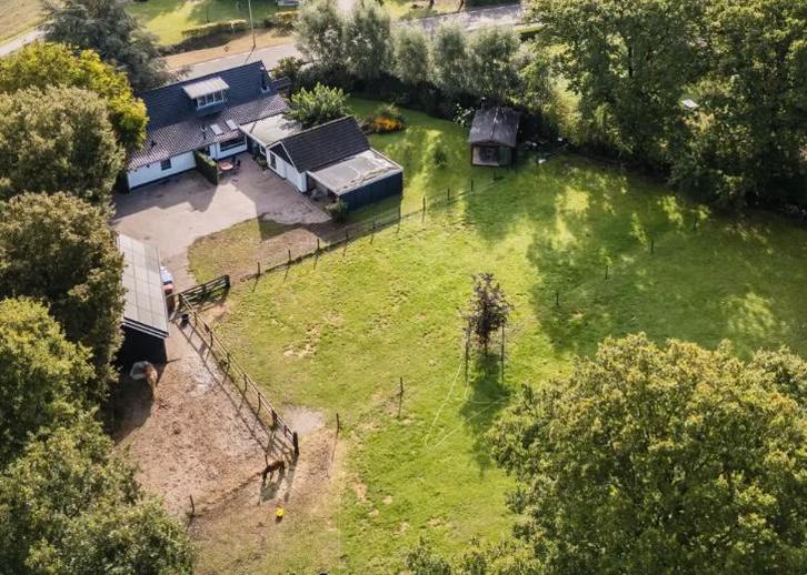 Weiland te huur, Dieren en Toebehoren, Stalling en Weidegang, Stalling, Weidegang, 2 of 3 paarden of pony's