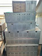 Houten Duivenmand, Meerdere dieren, Overige soorten