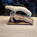 Opgezette wezel opgezet taxidermie taxidermy geprepareerd, Ophalen of Verzenden, Gebruikt, Wild dier, Opgezet dier