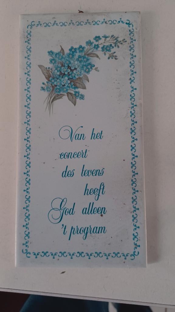 Tegel, van het concert des levens, Ophalen of Verzenden, Zo goed als nieuw