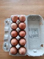 Broedeieren Welsumer kip, Ophalen of Verzenden, Nieuw, Overige typen